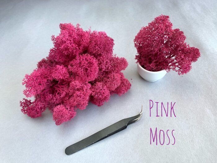 Preserved Pink Moss Dried Plants Colorful Purple Resin Real Dried Craft Making Natural For Jewelry