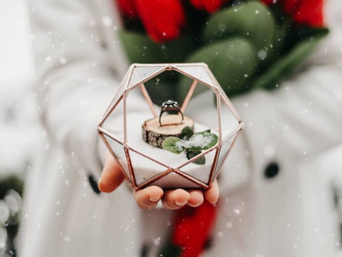 Proposal Ring Box, Wedding Terrarium Geometric Glass Box With Moss, Engagement Diamond