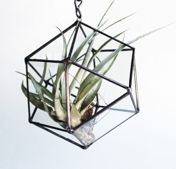 Repurposed Glass Cube Octahedron Hanging Planter - Stained Terrarium