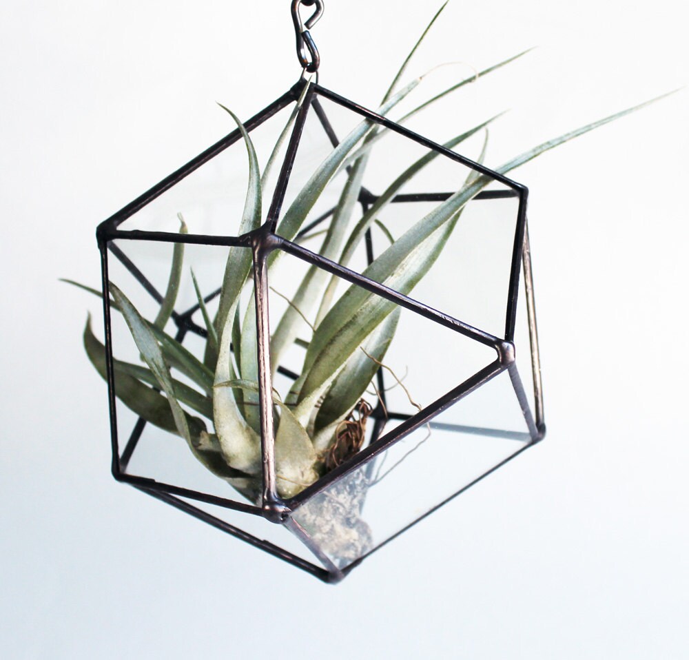 Repurposed Glass Cube Octahedron Hanging Planter Stained Terrarium