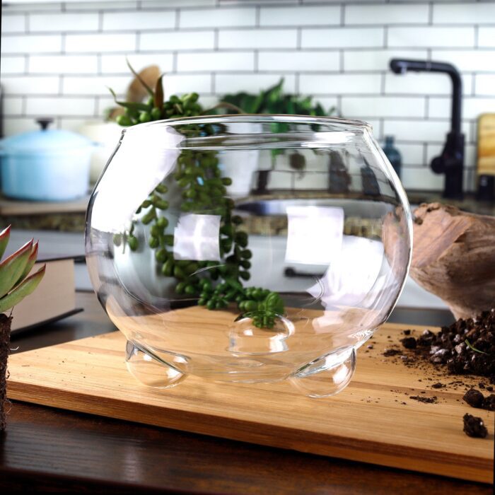 Round Glass Oasis Vase Terrarium - Mini Green House