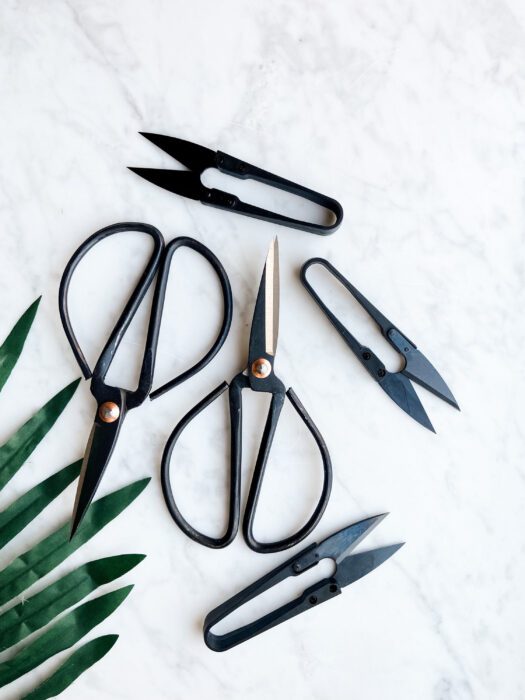 Scissors & Pruners Set | Houseplants & Gardening A Must-Have Plant Tool Accessory For Lovers Perfect Gift 3 Tools