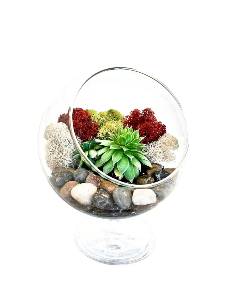 Succulent Terrarium Kit With Moss & River Rocks/5" Round Pedestal Glass Terrarium Creations