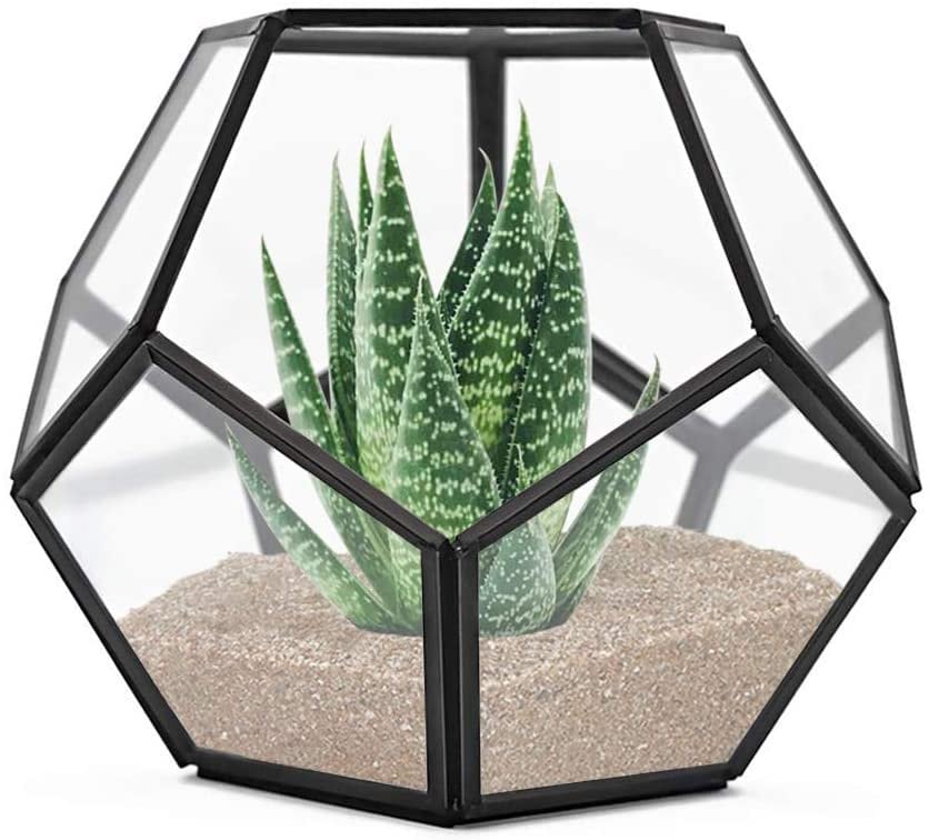 Tabletop Geometric Terrarium, Metal with Glass Succulents Terrarium Container, Air Planter Jewelry Wedding Decor