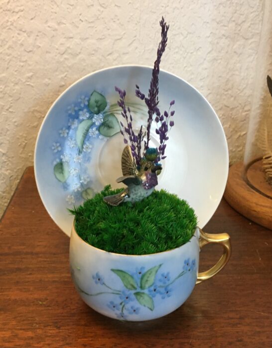 Teacup Garden With Tiny Humming Bird & Preserved Moss in Austria China Tea Cup & Saucer