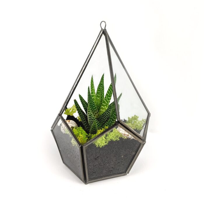 Teardrop Glass Open Terrarium, Indoor Tabletop Or Wall Mount Decorative Planter For Air Plants, Succulents & Artificial Plants