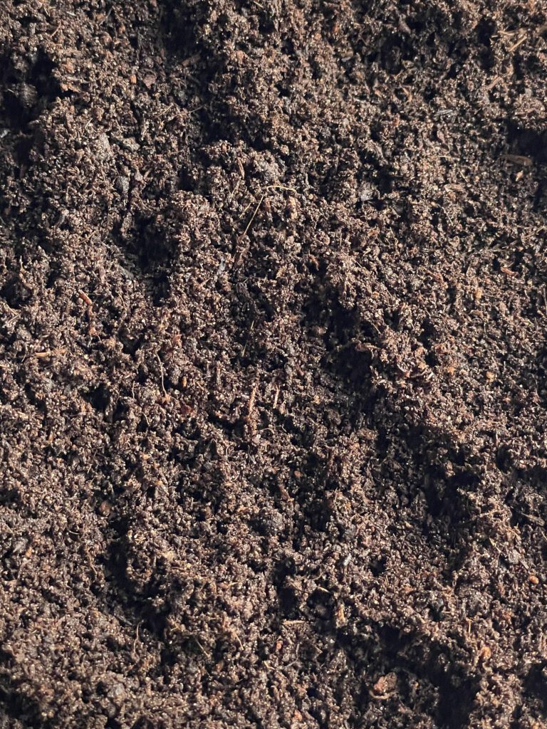 Terrarium Soil Mix High Quality Substrate Terrarium Supplies Tropical