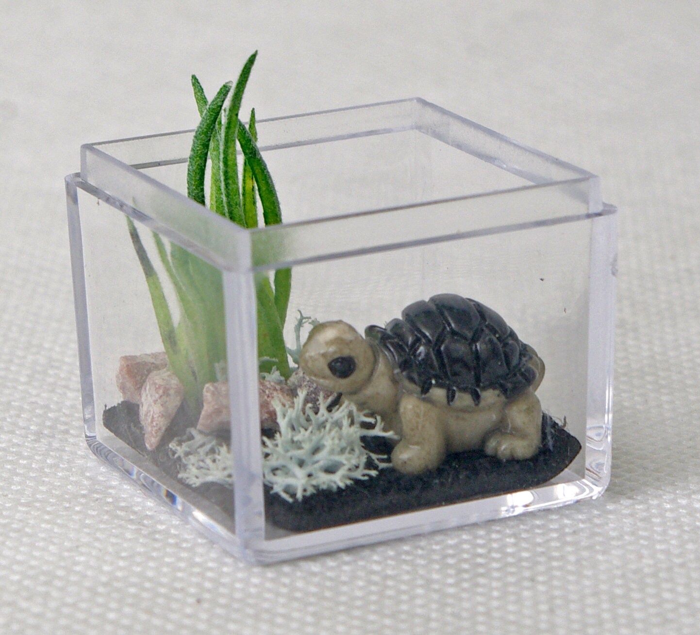 TURTLE POND, Fairy garden pond, Miniature pond, Fairy accessories