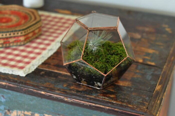 Universe Terrarium Kit, Large Dodecahedron Glass Terrarium With A Hinged Door Stained Copper Or Silver Color Eco Friendly