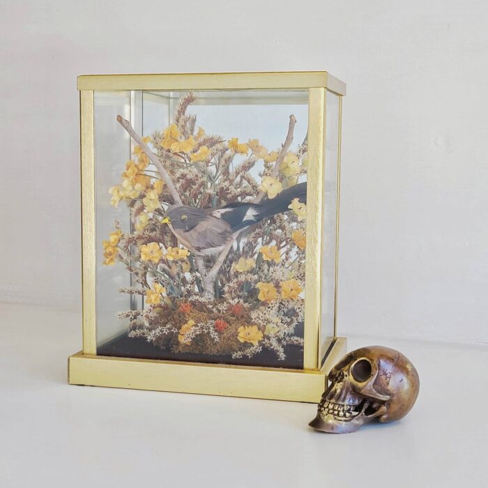 Vintage Dried Flower Terrarium Curio | Faux Bird Taxidermy Glass & Brass With