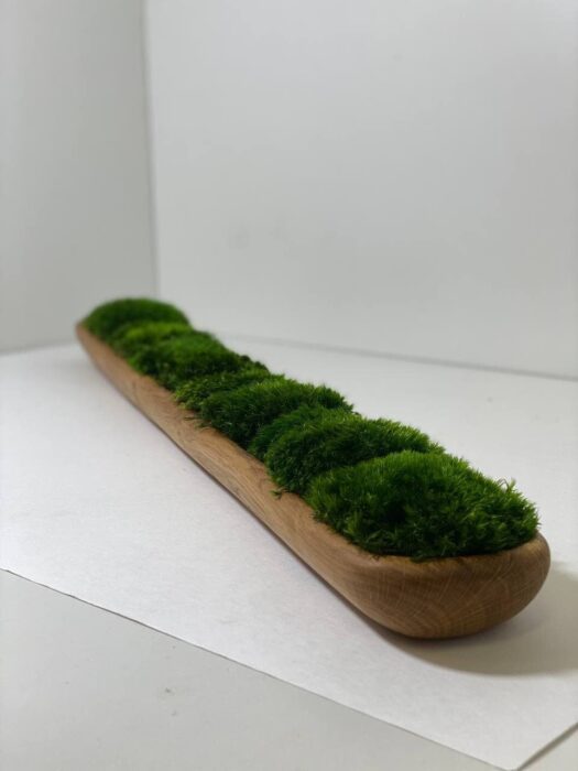 Wooden Centerpiece With Preserved Moss, Stabilized Provence Moss Table Decor, Live Home Decor