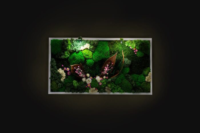 stunning Preserved Moss Wall Art With Led Lights Live Artwork Lighted Framed Greenery Home Decoration