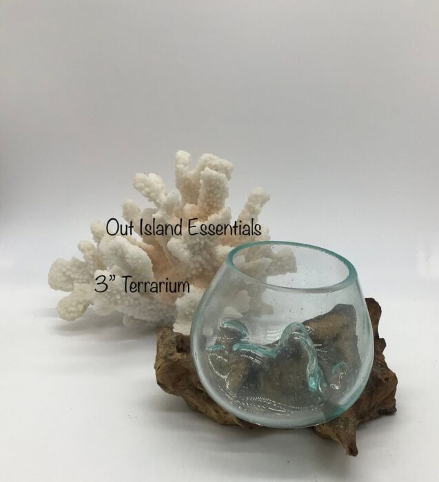 3" Blown Glass On Driftwood I Terrariums Terrarium Container One Of A Kind Pieces