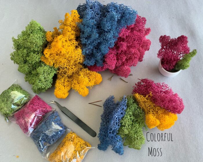 Preserved Colorful Moss Set Moss For Resin Pink Decor Craft Making Plants Natural Jewelry