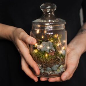 DIY Moss Terrarium Kit (Fairytale in a Jar)