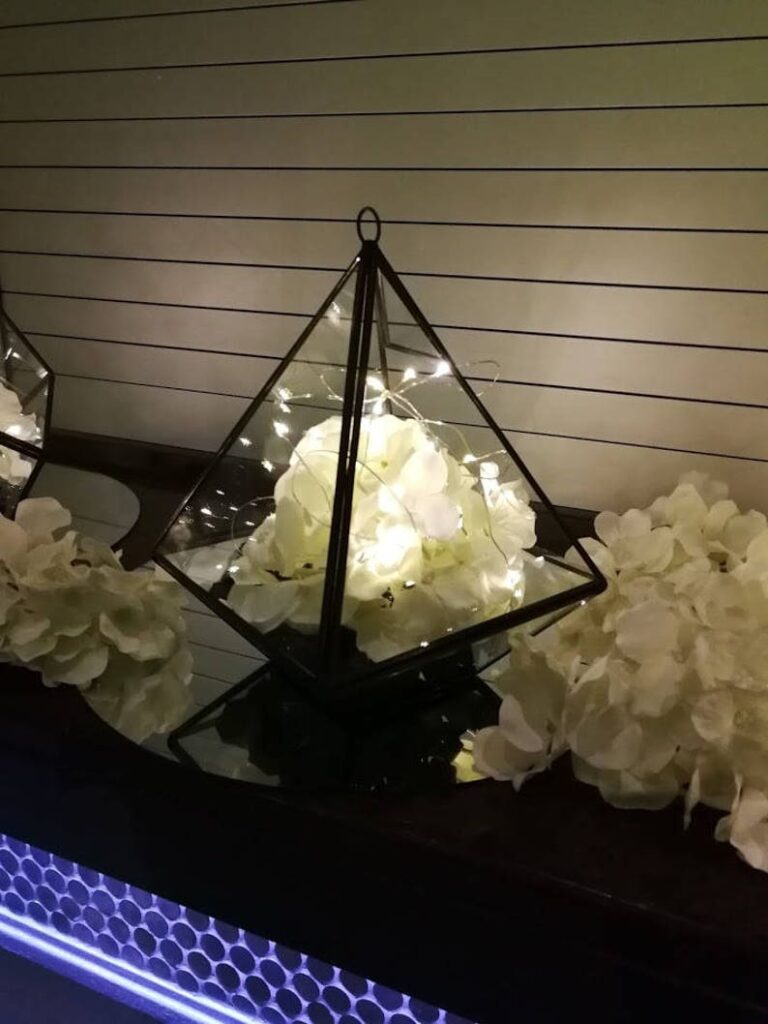 Black Triangle Glass Geometric Terrarium (modern planter)