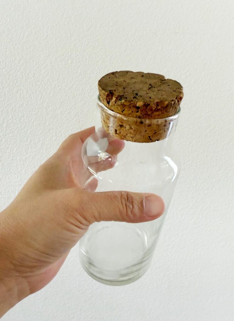 Glass Apothecary Jar with Cork Lid (tall, storage/terrarium container)